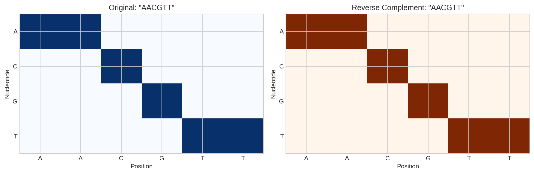 Reverse Complement Visualization