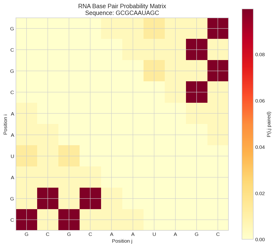 Base Pair Probability Matrix