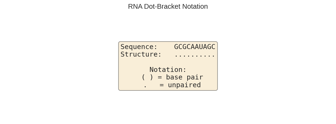 RNA Dot-Bracket Visualization