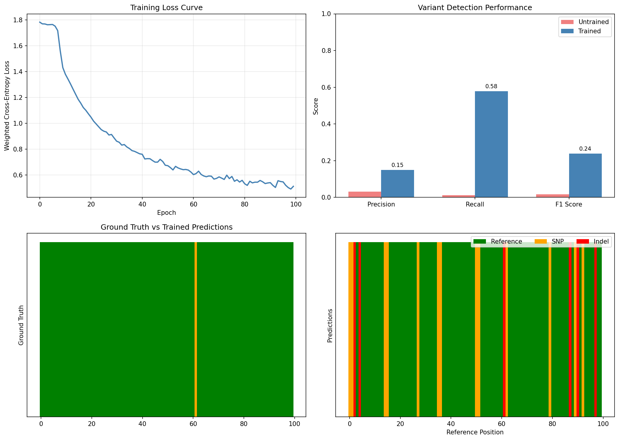 Training Comparison