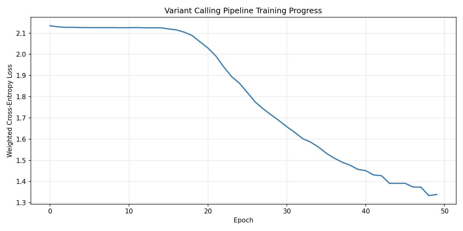 Training Loss