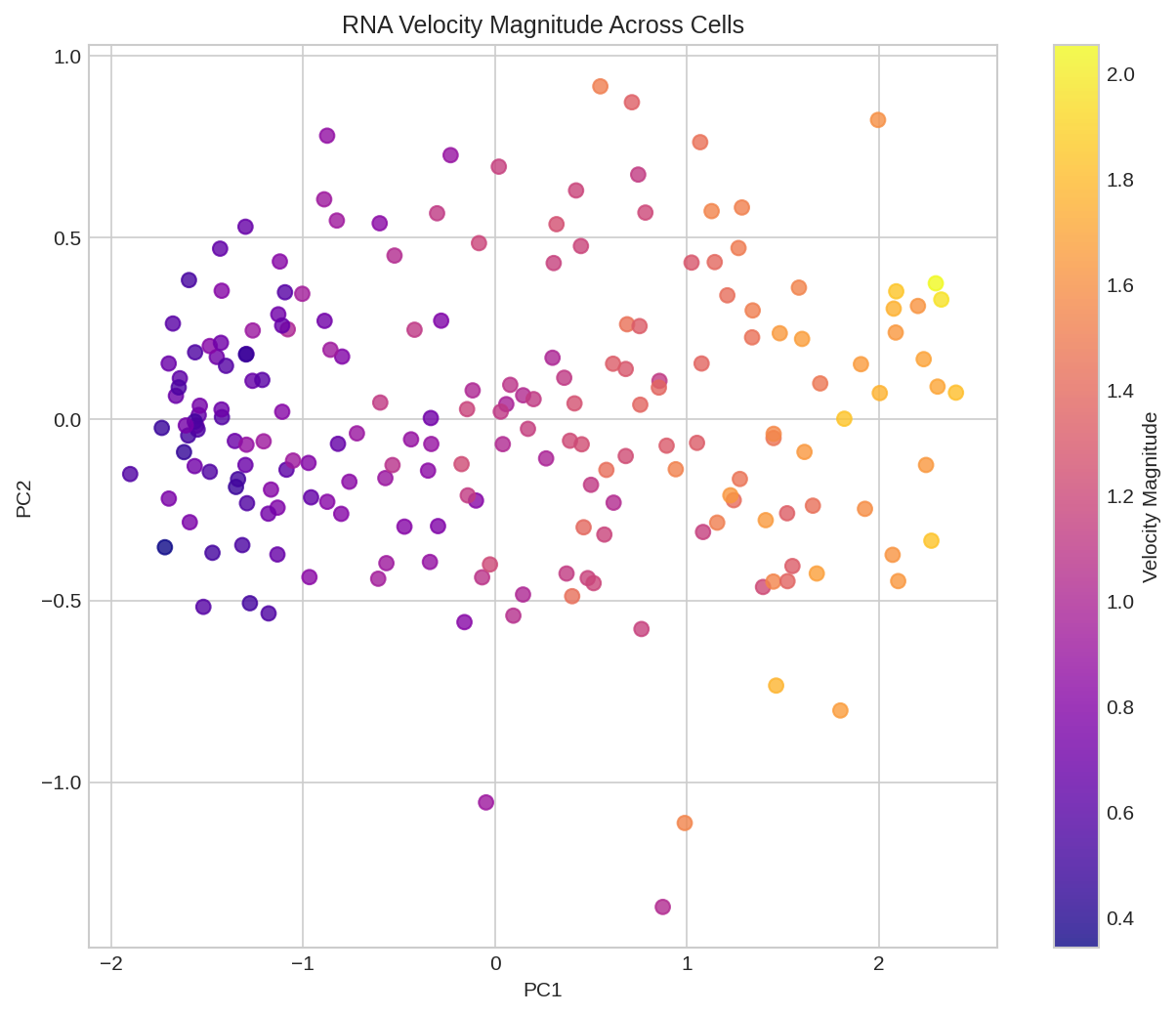 Velocity Magnitude